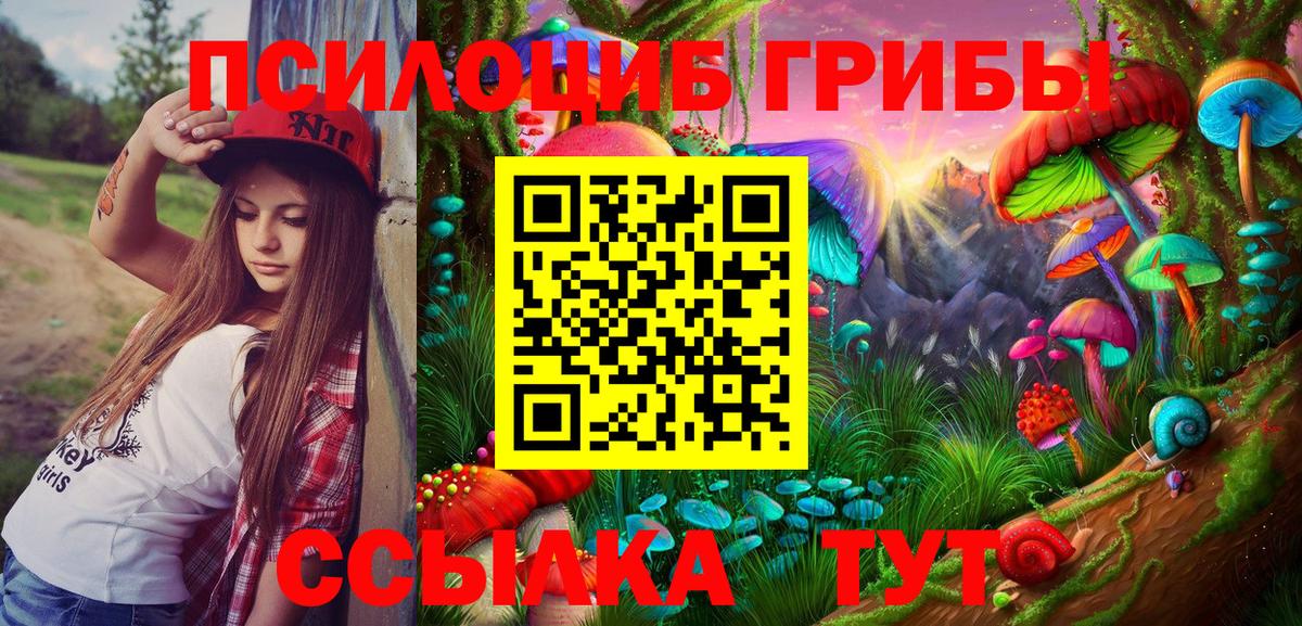 Галлюциногенные грибы мухоморы Вышний Волочёк